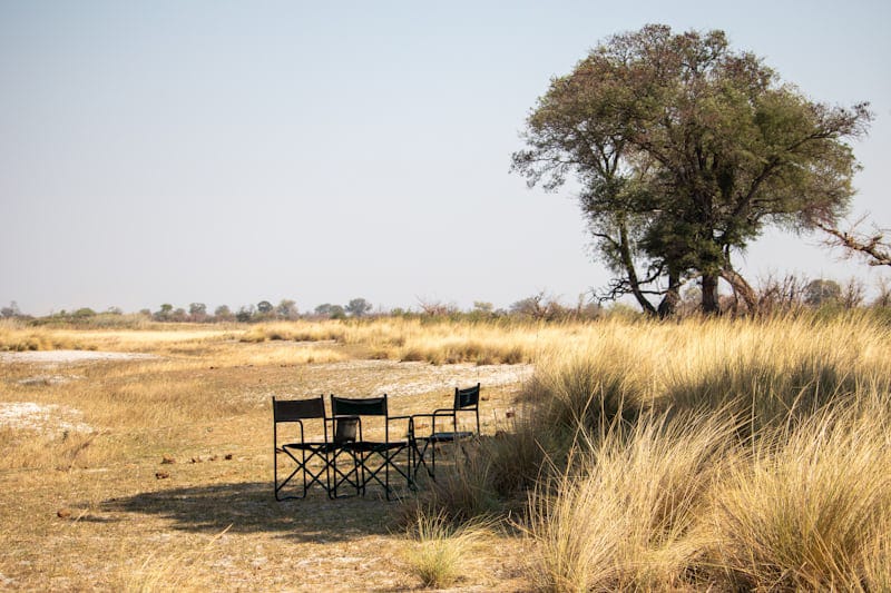 Private Bush Dining Experience